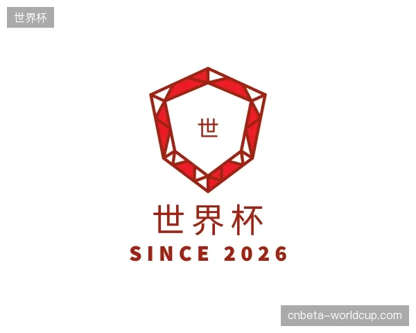 解读世界杯官网